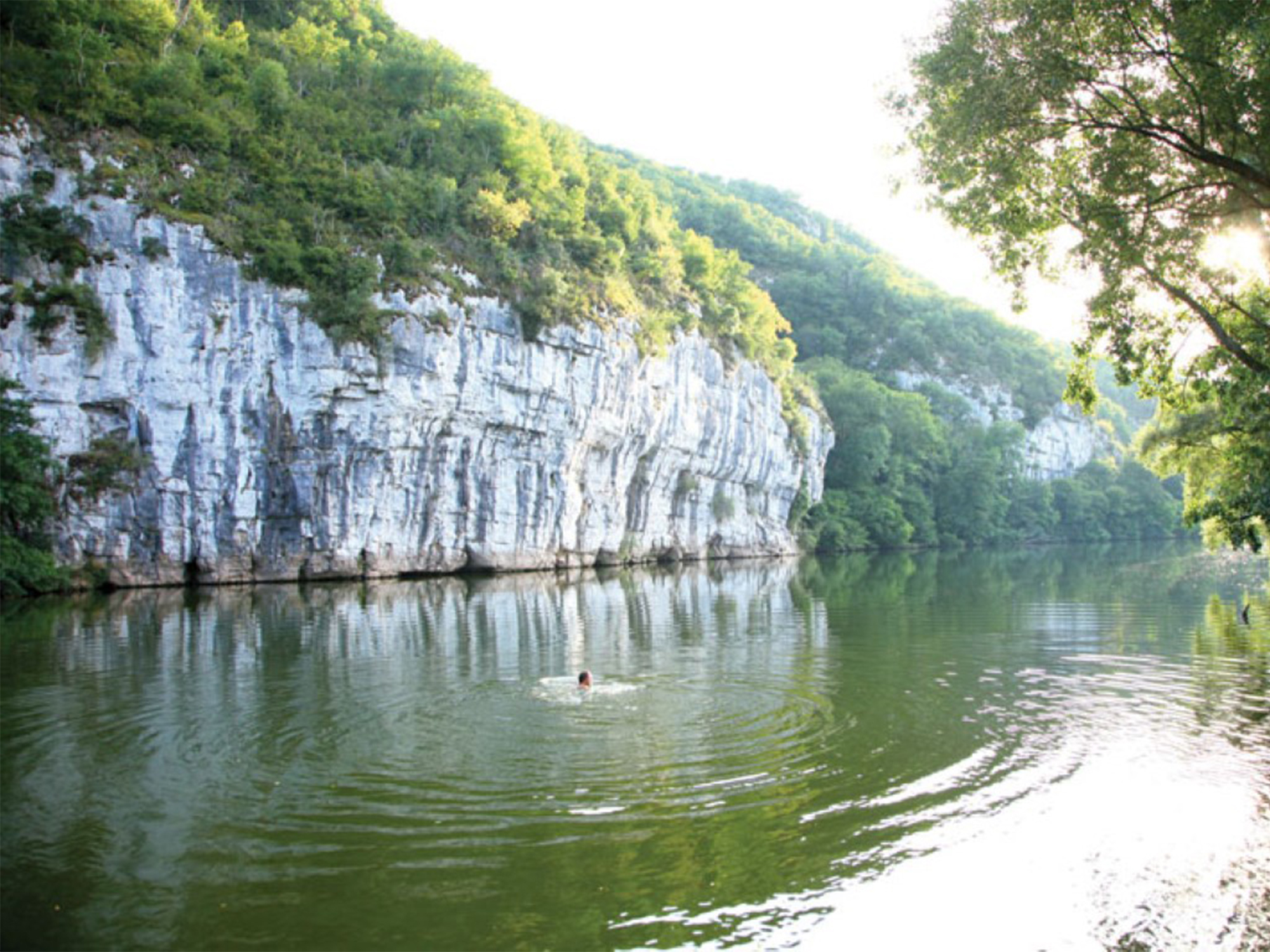 8.-Local-Area-Gallery copy