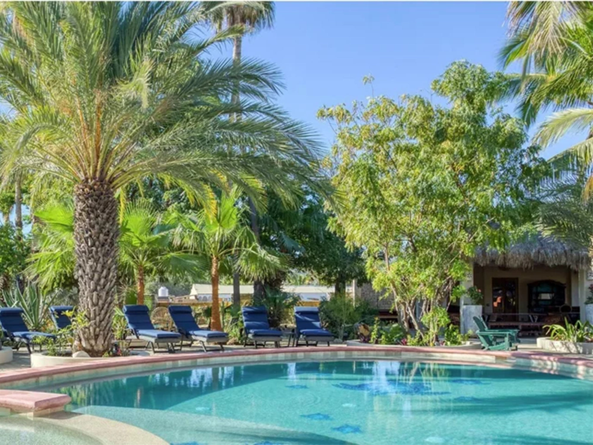 los-barrils-baja-mexico copy